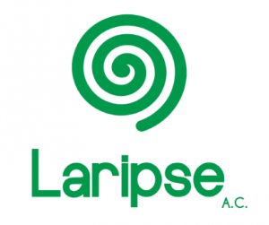 LARIPSE2